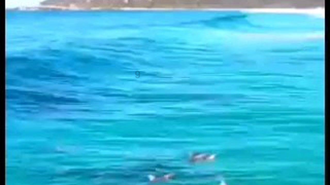 地狱天使